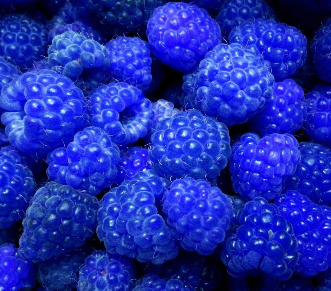 Saveur framboise bleu